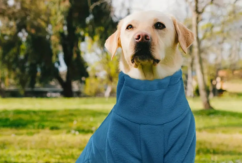 Winddichter Wintermantel für Hunde – Warmer Ganzkörper-Pyjama für Kalte Tage